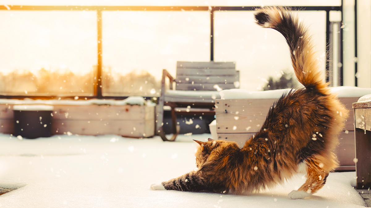 AdobeStock 550900235 1200