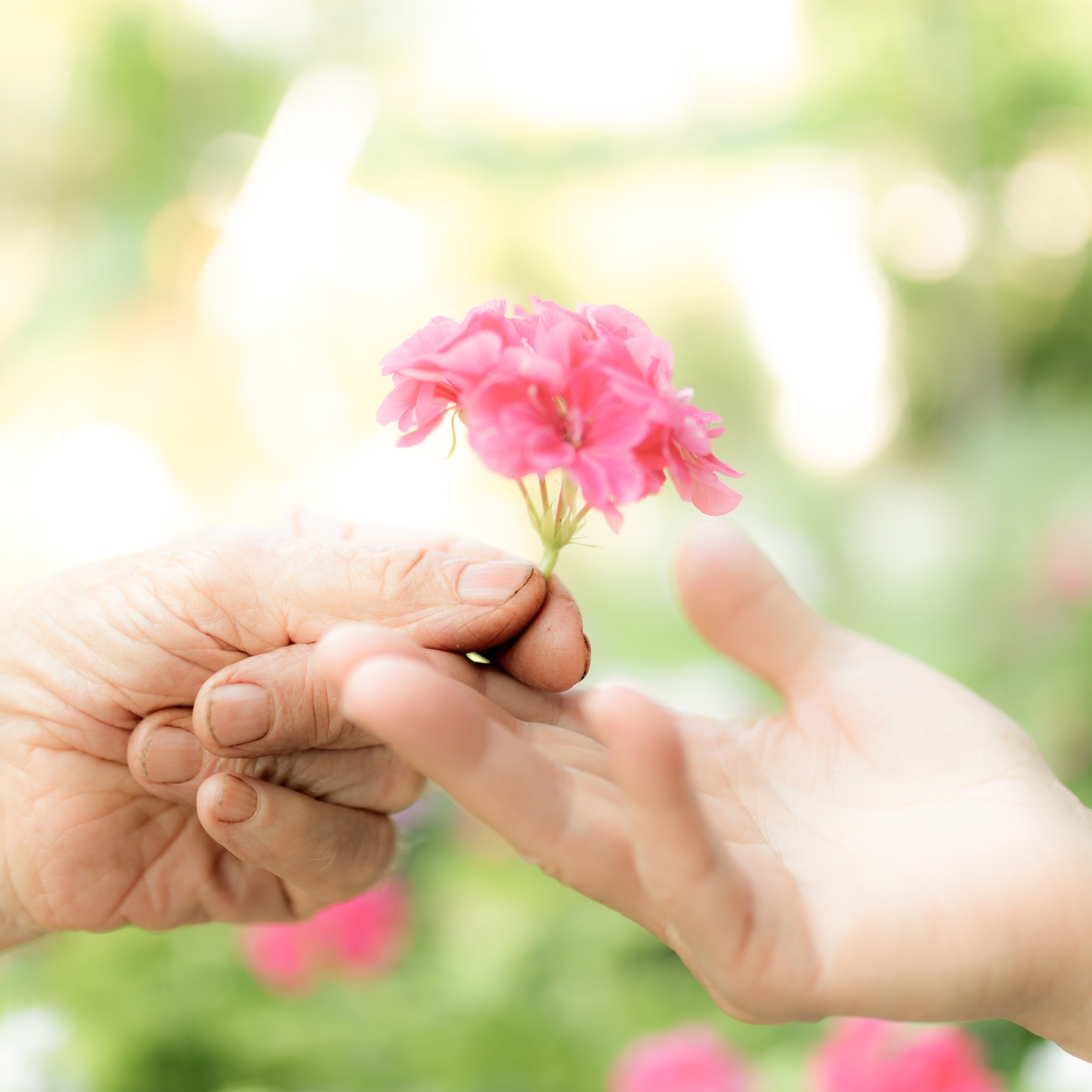 AdobeStock 287186614 square kakou